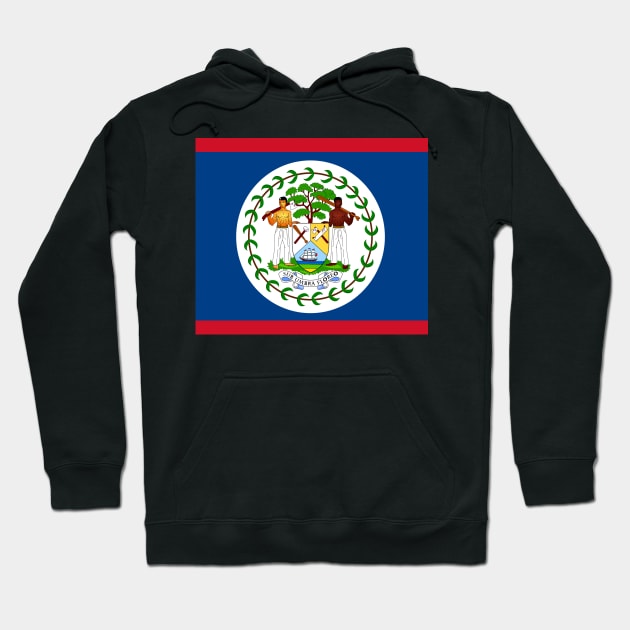 Belize flag Hoodie by flag for all